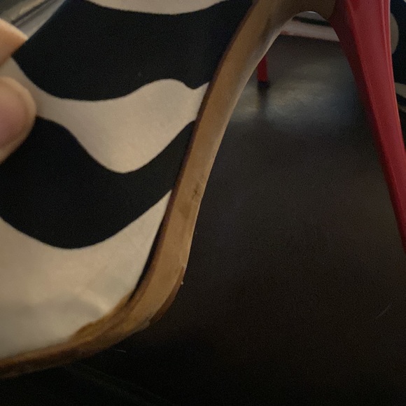 Giuseppe Zanotti Zebra Heels - Picture 7 of 11